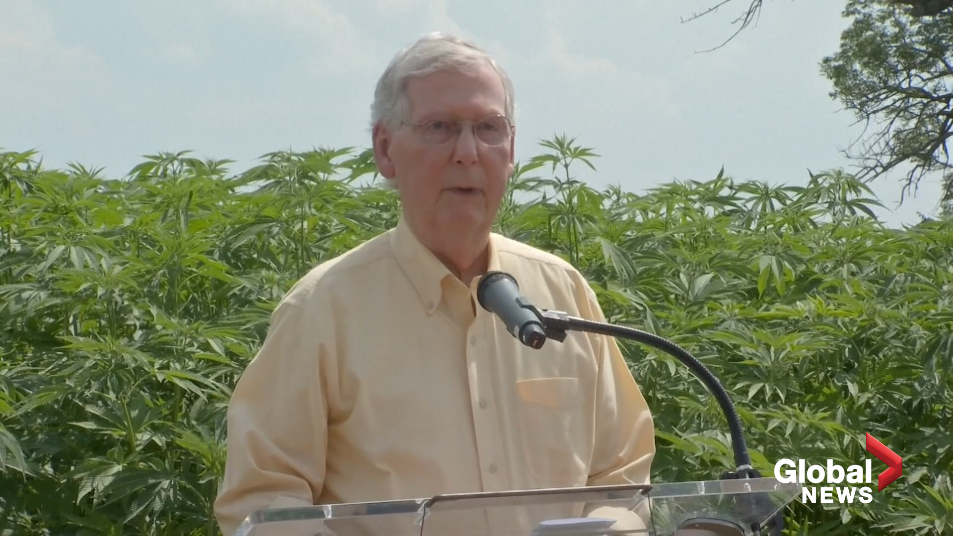 mitch mcconnell nike