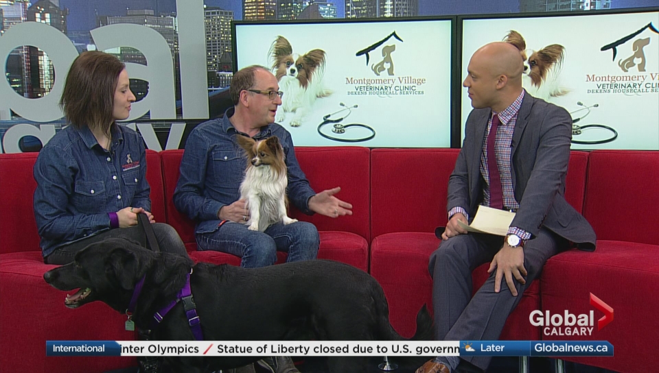 montgomery village veterinary clinic