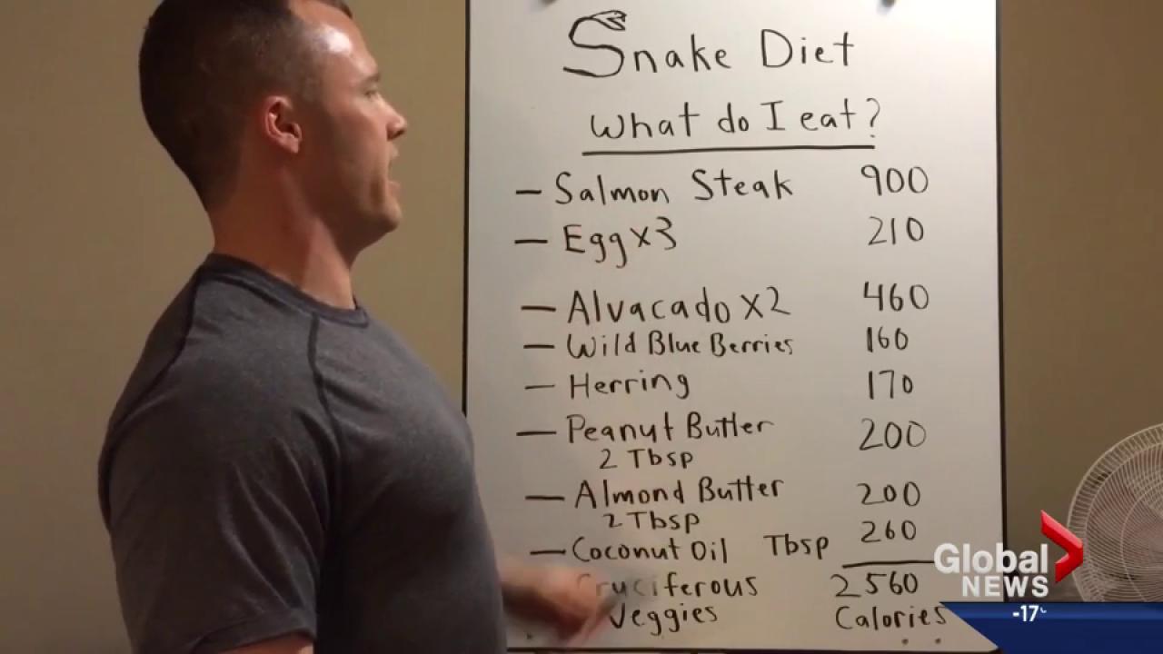 What is the Snake Diet: Unleashing Weight Loss Secrets