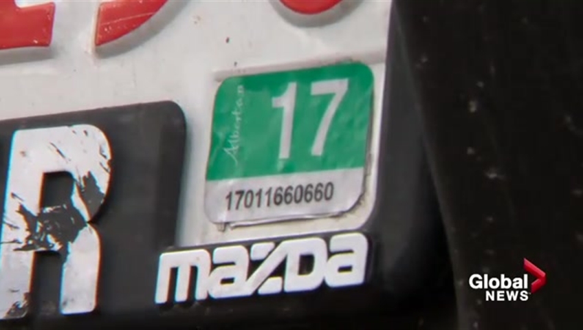 Albertans Forgetting To Register Vehicles Renew Licenses Watch News Videos Online Albertans Forgetting To Register Vehicles Renew Licenses Watch News Videos Online
