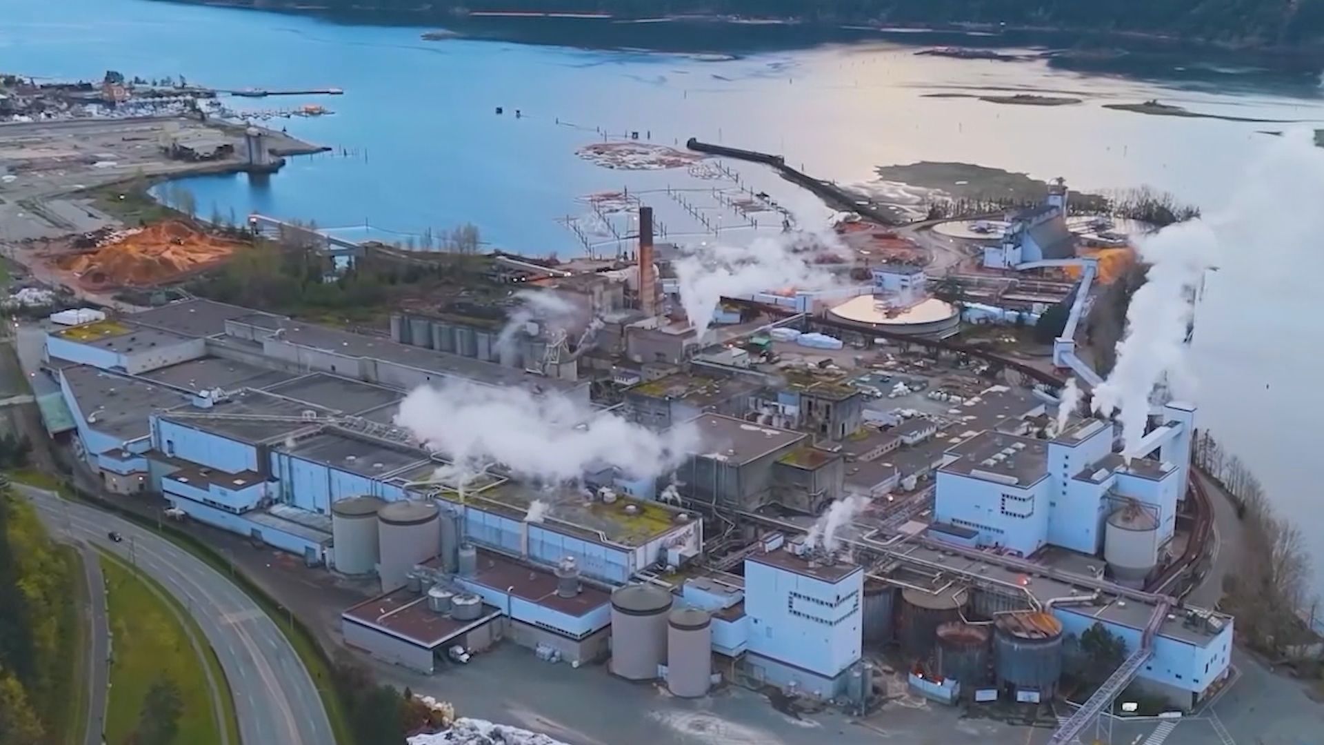 B.C.’s struggling forestry sector becomes hot-button election issue