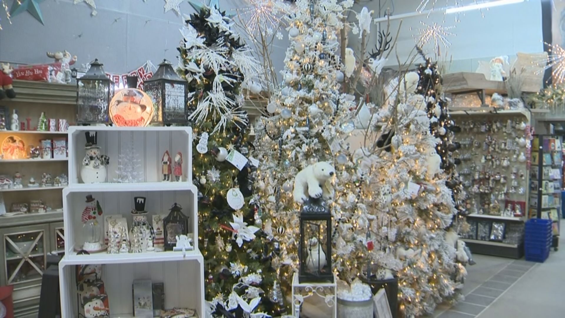 st marys nursery garden centre ltd